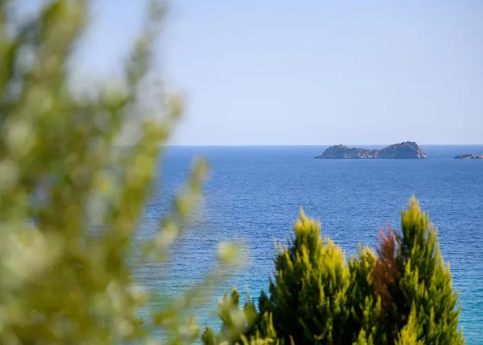 Vue Sur La *